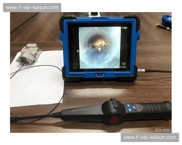 狮吼与鼓点：南非与尼日利亚，非洲大陆的双雄对决